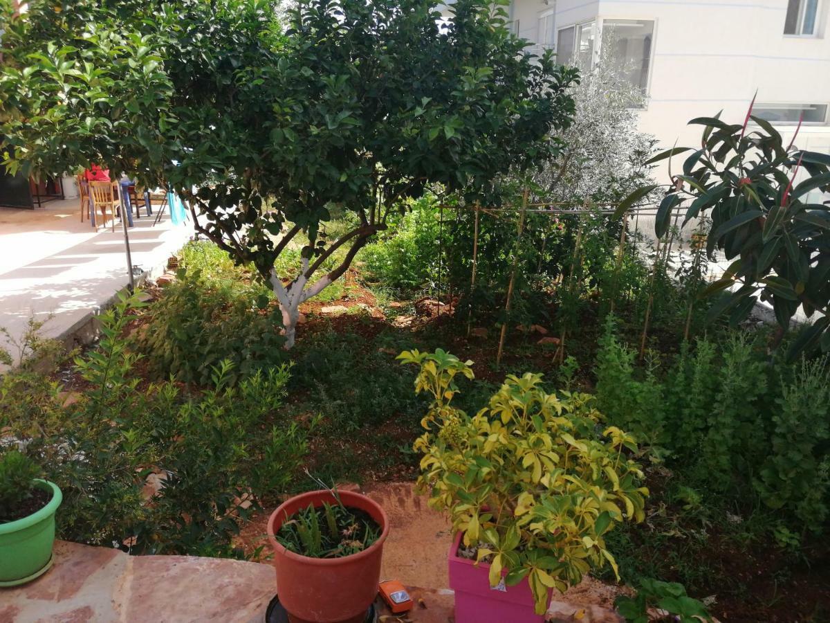 Helen'S House Apartment Ksamil Exterior photo